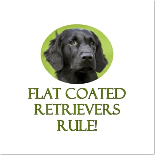 Flat Coated Retrievers Rule! Posters and Art